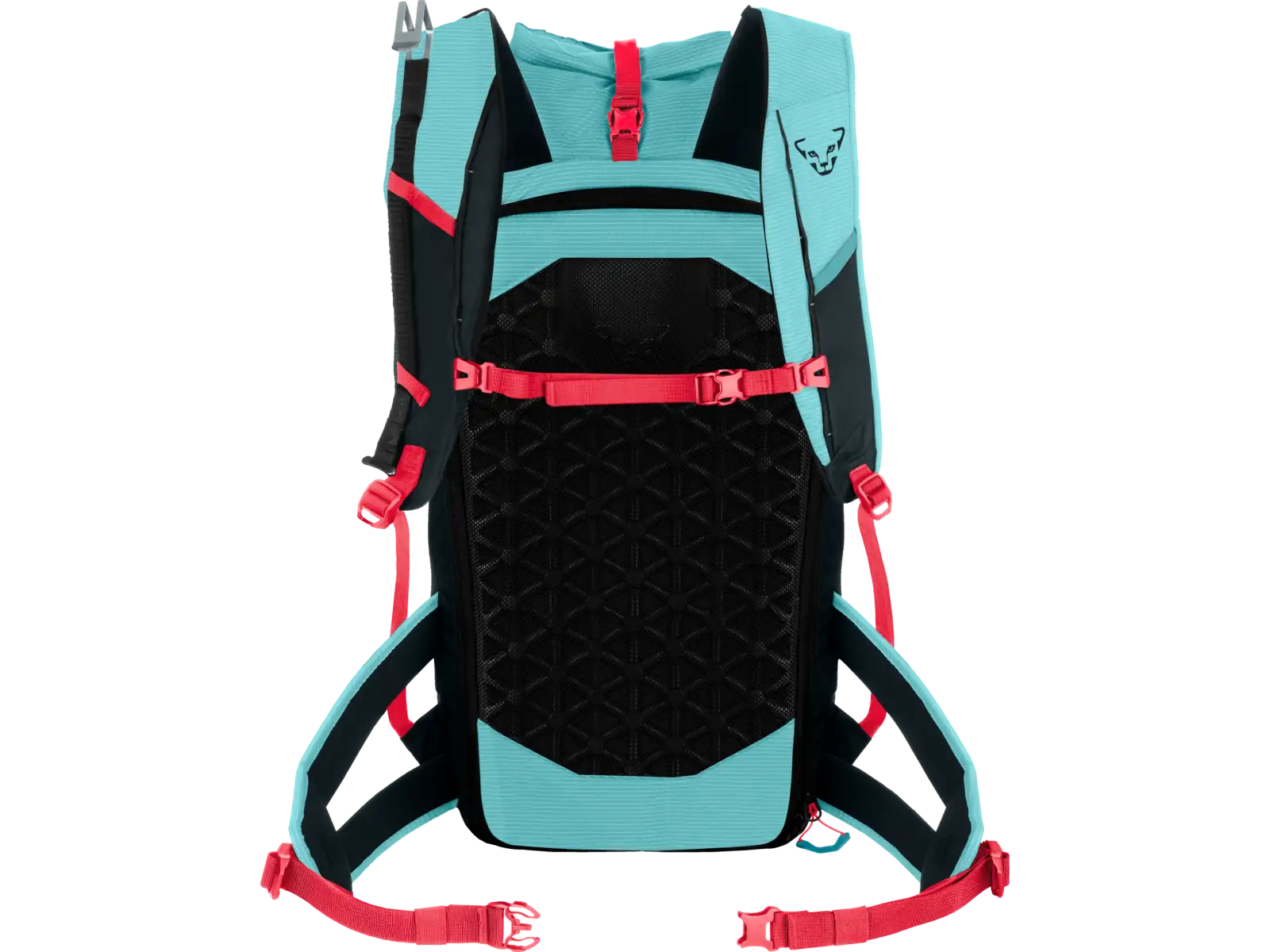 Dynafit Radical 30+ damski plecak 30 l Marine Blue/Blueberry