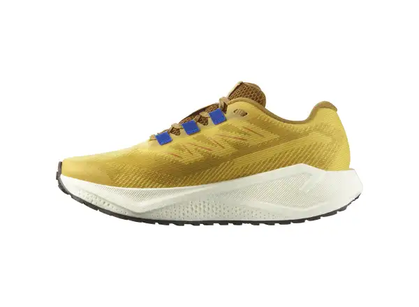 Salomon Aero Blaze 3 GRVL męskie buty do biegania Spicy Mustard