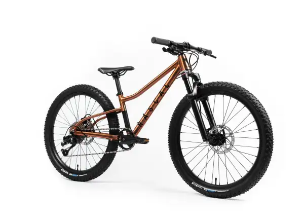 Rascal Wild 24 rower dziecięcy Bronze