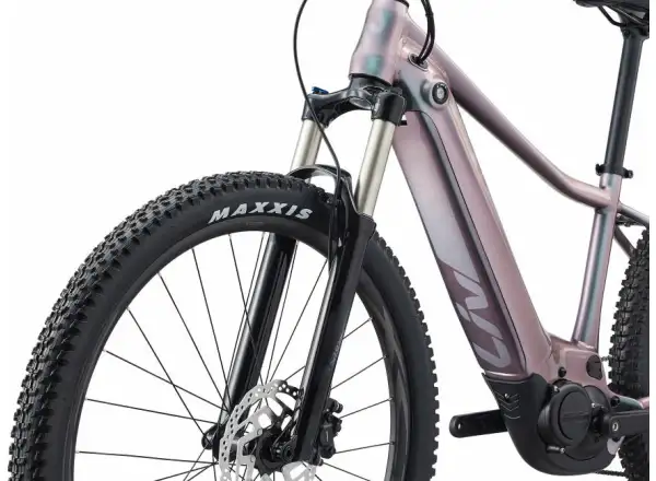 Liv Vall-E+ 2 29 Echeveria 2022 damski rower górski elektryczny