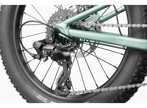 Cannondale Kids Trail Plus 20 rower dziecięcy Cactus Green