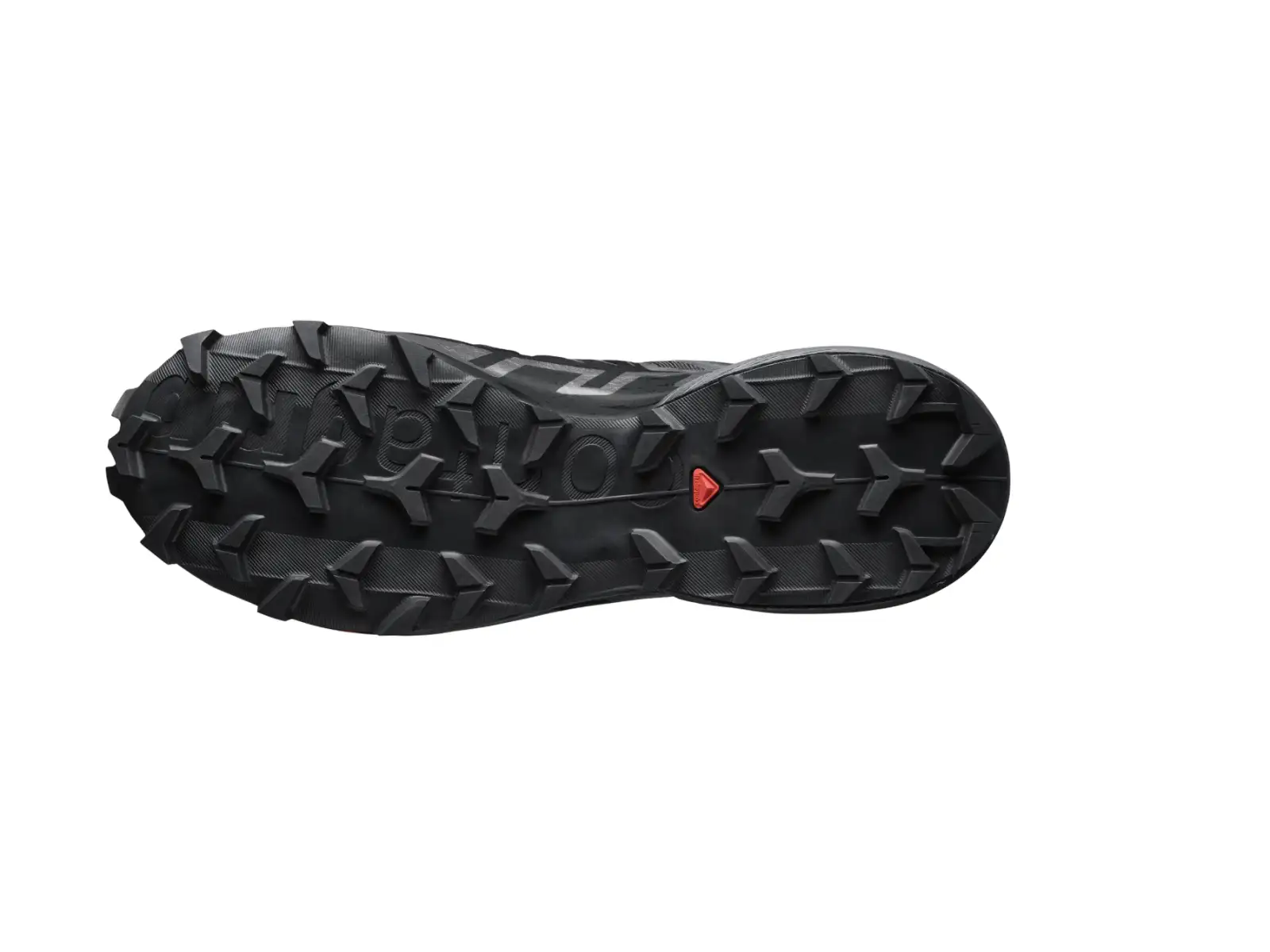 Salomon Speedcross 6 GTX męskie buty do biegania Black/Black
