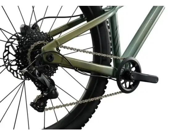 Liv STP 24 dziecięcy rower górski Alpine Green