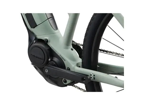 Liv Rove E+ damski rower trekkingowy elektryczny laurel