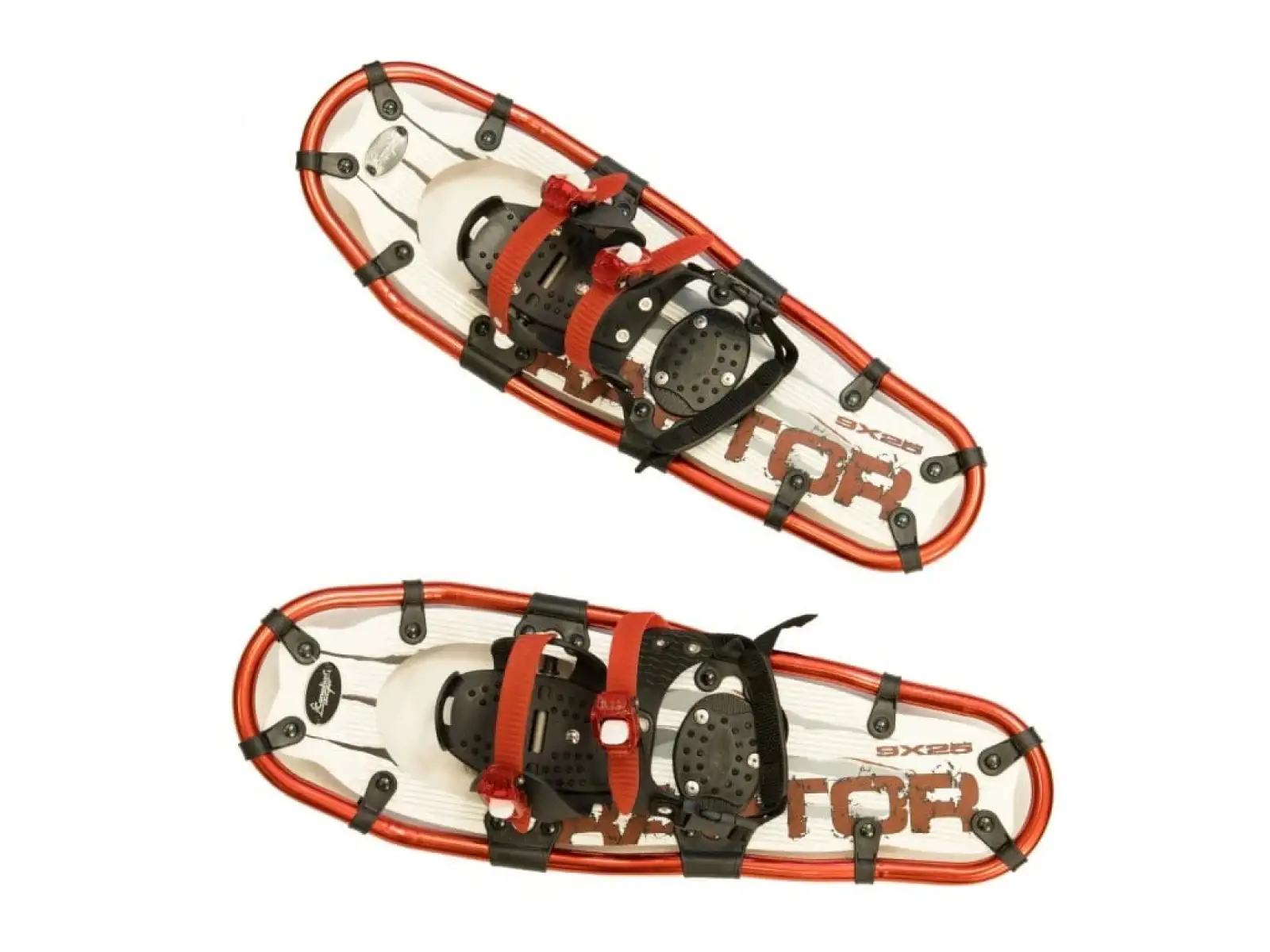 Yate Raptor rakiety śnieżne