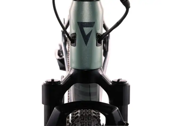 Giant Revolt X Advanced Pro 2 gravel rower Misty Forest
