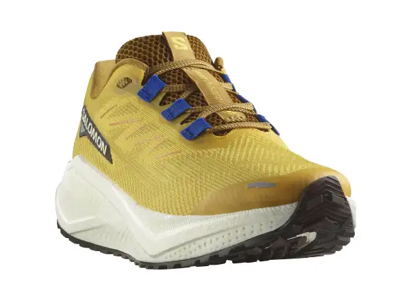 Salomon Aero Blaze 3 GRVL męskie buty do biegania Spicy Mustard