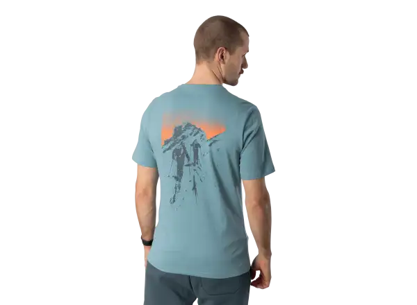 Dynafit Back Graphic Cotton męska koszulka z krótkim rękawem Smoke Blue/Approach