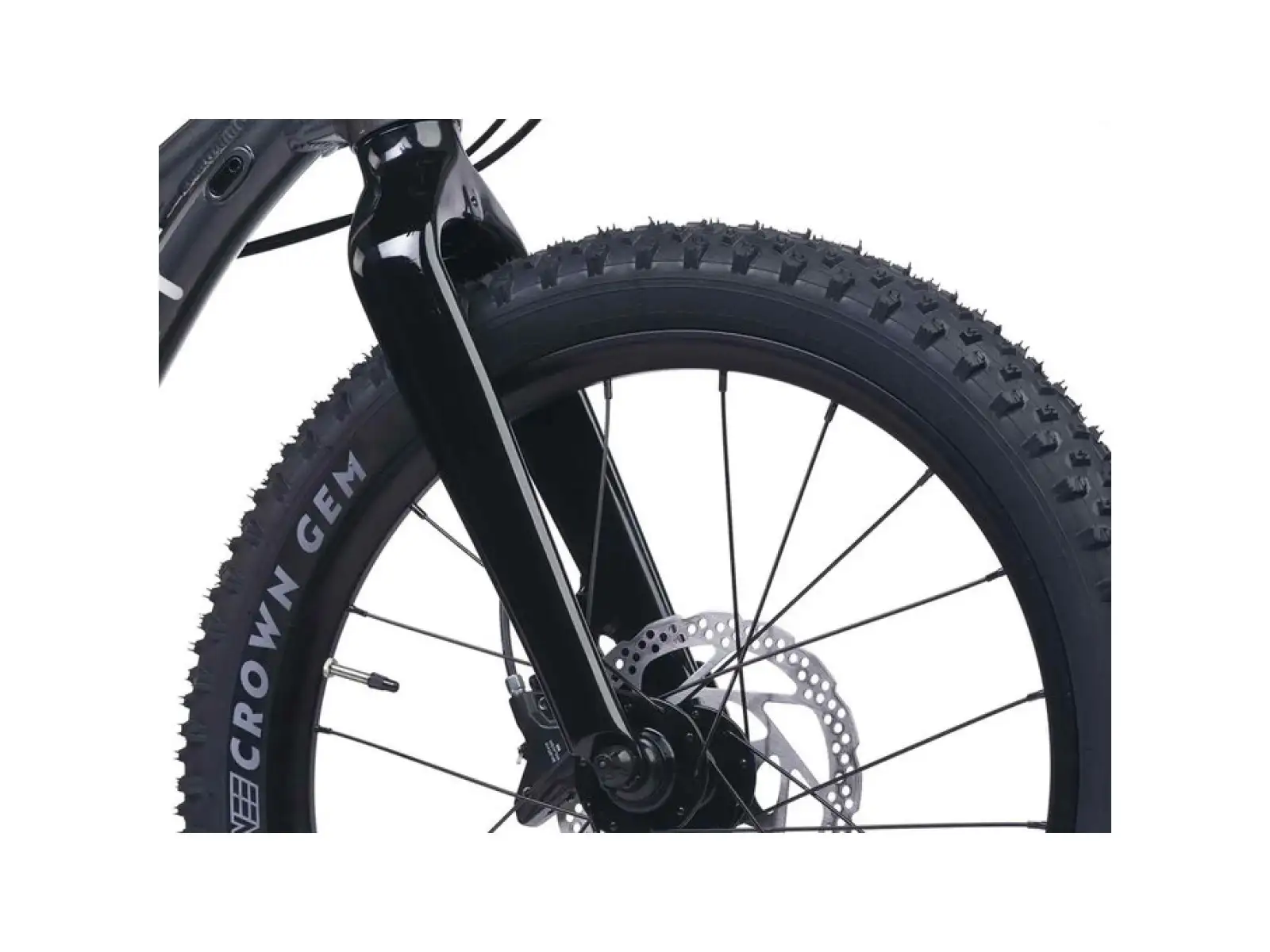 Academy S-Grade Trail 4 rower dziecięcy 20" czarny