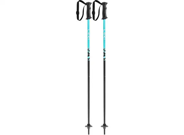 Leki Rider dziecięce kijki narciarskie zjazdowe darkblue-light turquoise-white