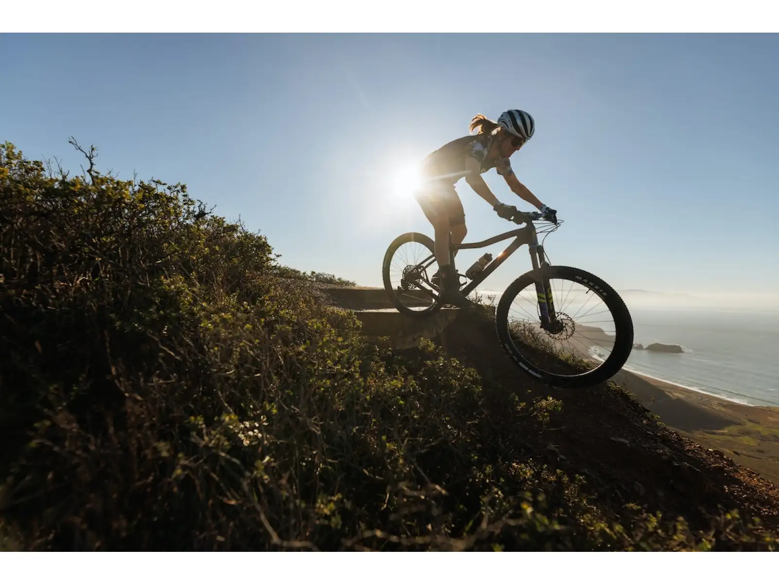 IBIS DV9 frame set Muddy Waters