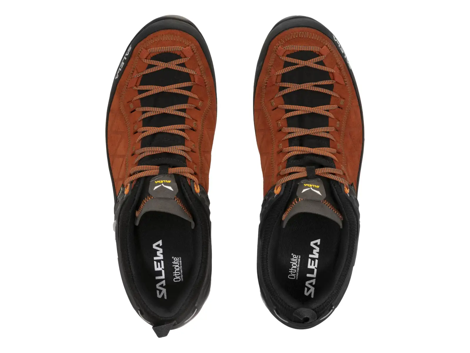 Salewa Mountain Trainer 2 GTX męskie buty trekkingowe Autumnal/Black