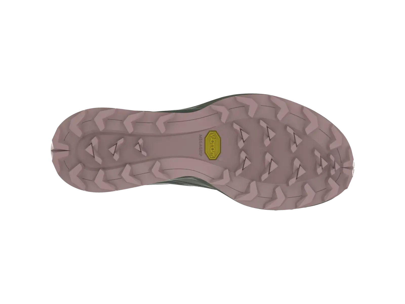 Dynafit Alpine damskie buty do biegania Yerba Thyme