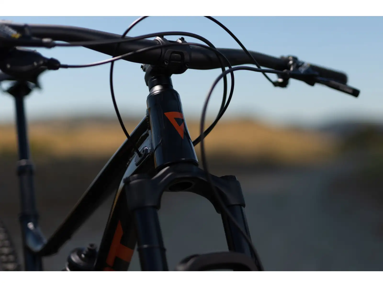 Giant Stance 29 1 rower full suspension Metallic Black