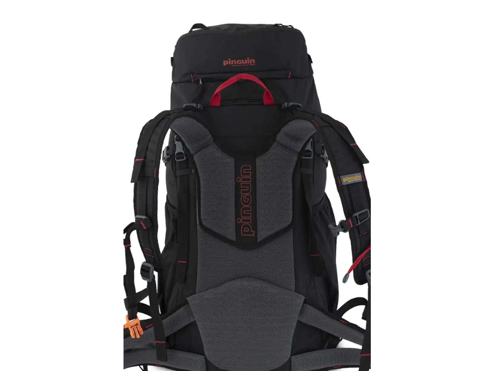Pinguin Walker 50 plecak 50l Black