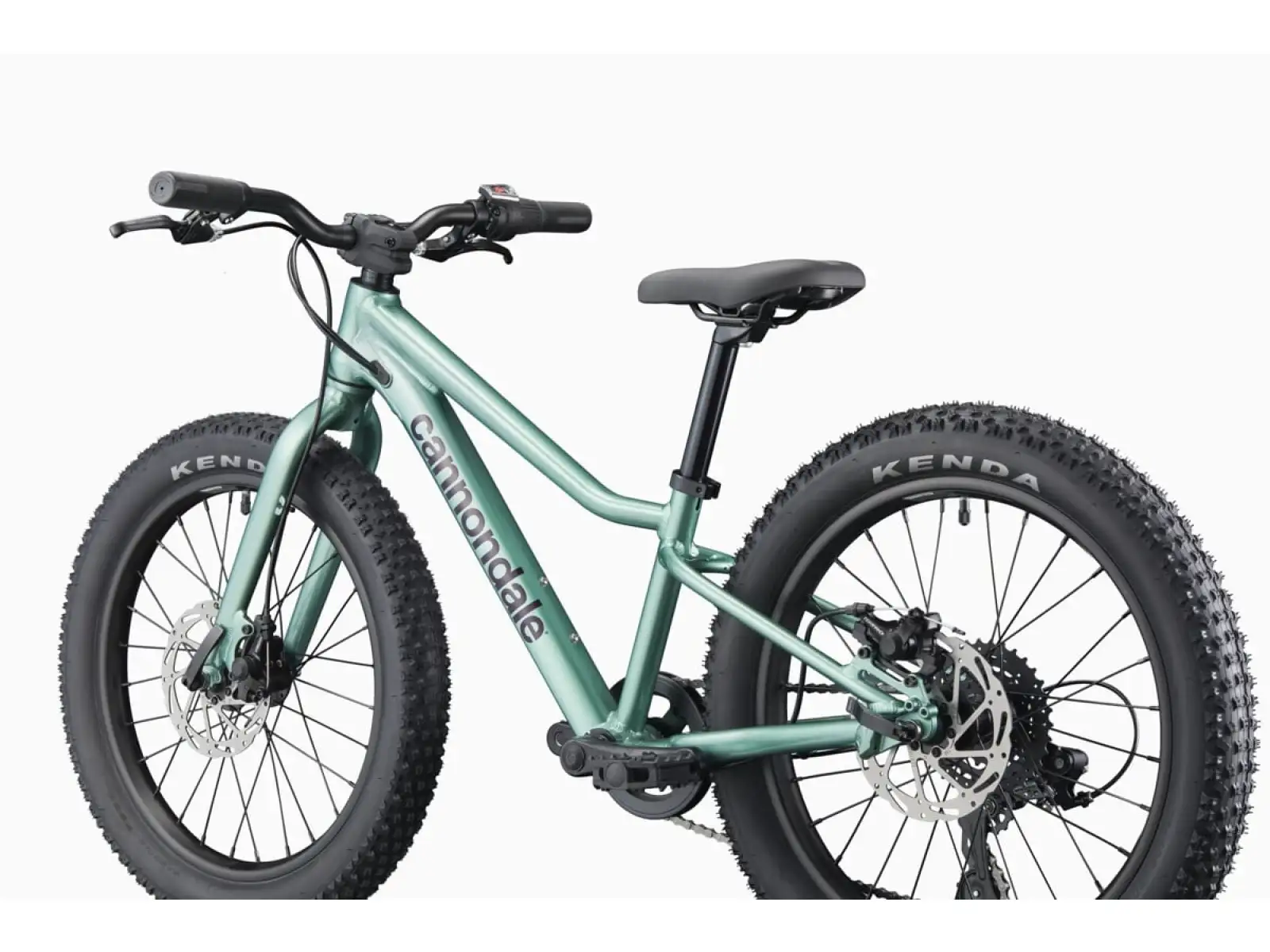 Cannondale Kids Trail Plus 20 rower dziecięcy Cactus Green