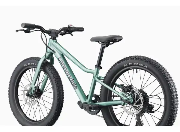 Cannondale Kids Trail Plus 20 rower dziecięcy Cactus Green