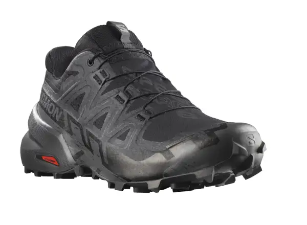 Salomon Speedcross 6 GTX męskie buty do biegania Black/Black