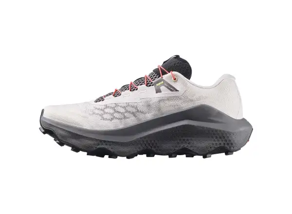 Salomon ULTRA GLIDE 4 męskie buty do biegania Shadow Gray / Tapioca / Black