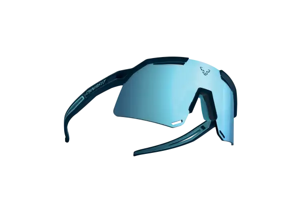 Dynafit Ultra Evo okulary Blueberry/Storm Blue