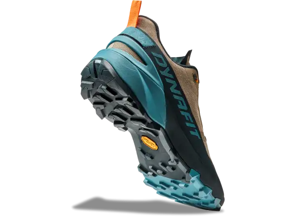Dynafit Transalper 2 GTX męskie buty do biegania Blueberry/Fallen Rock