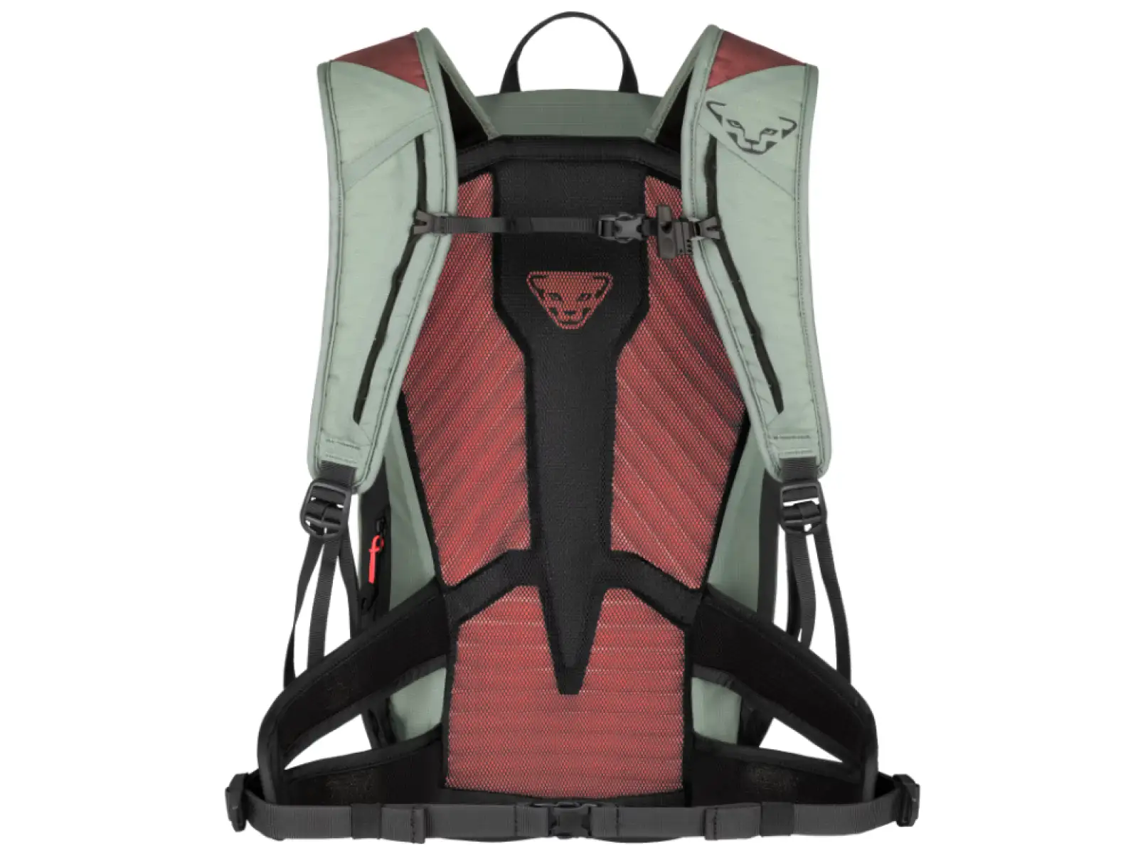 Dynafit Transalper 22 W plecak Jadelite/Black Out