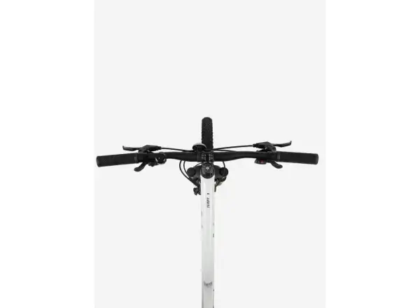 Liv Tempt 5 rower górski Snow Drift