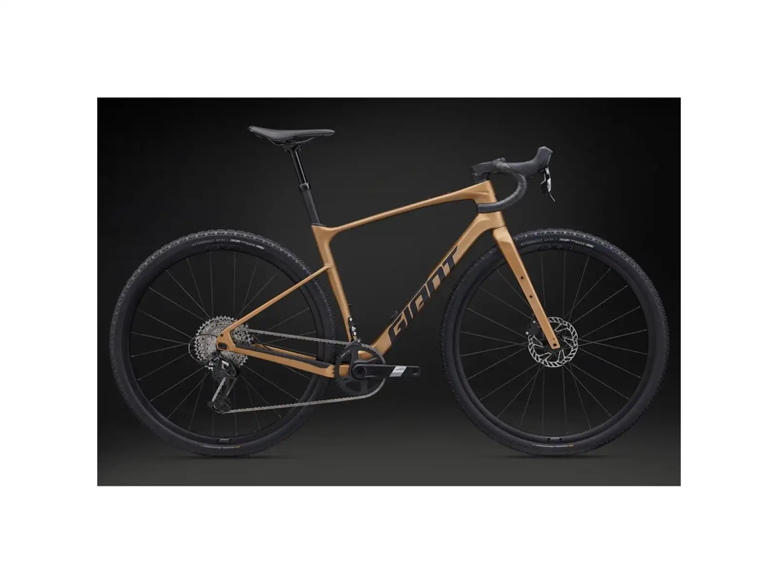 Giant Revolt Advanced 1 gravel rower Steampunk