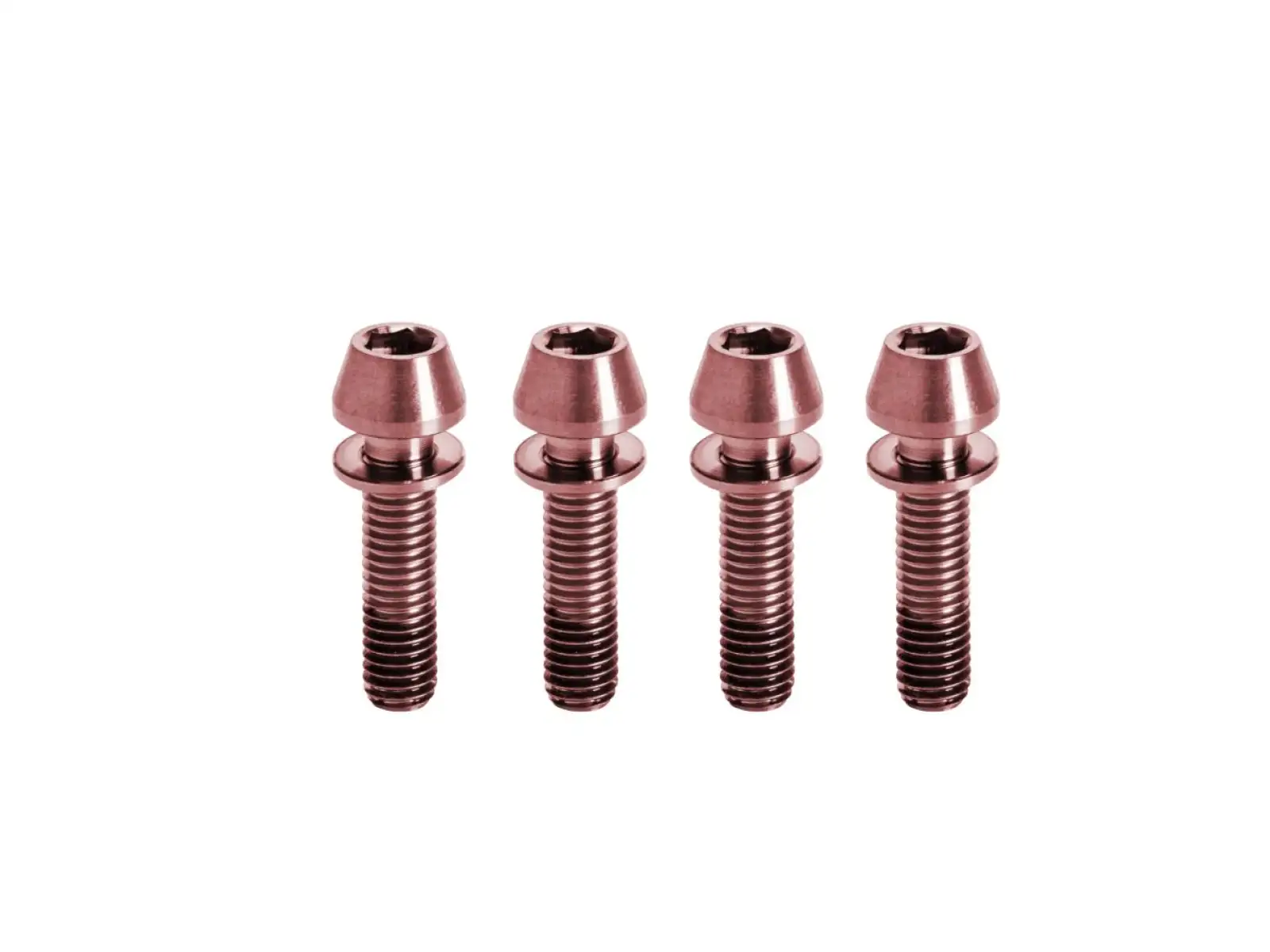 Kogel tytanowe śruby do mostka M5x20 mm