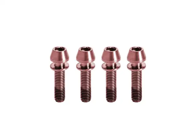Kogel tytanowe śruby do mostka M5x20 mm