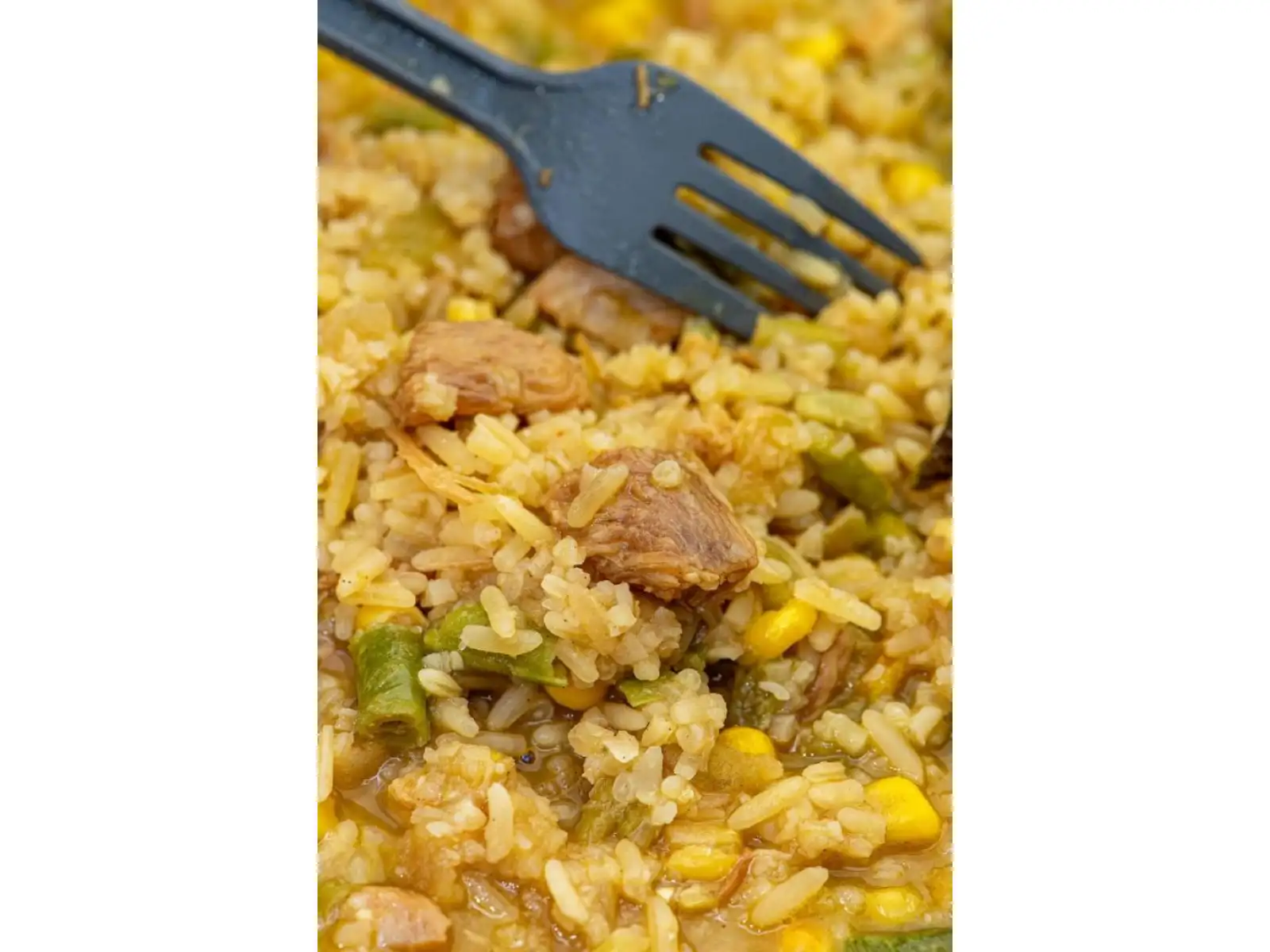 Summit To Eat odwodniona żywność Smażony ryż z kurczakiem i sosem Teriyaki 202 g