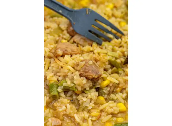 Summit To Eat odwodniona żywność Smażony ryż z kurczakiem i sosem Teriyaki 202 g