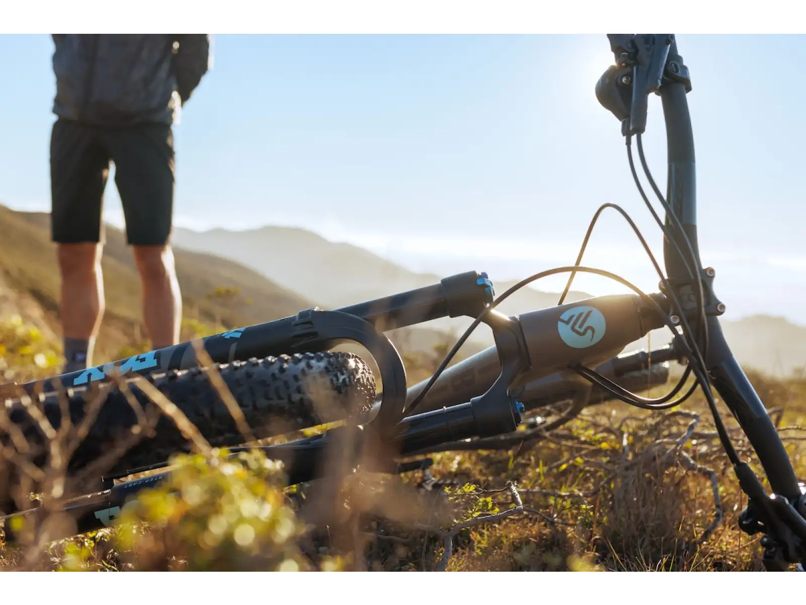 IBIS DV9 frame set Muddy Waters