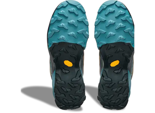 Dynafit Transalper 2 GTX męskie buty do biegania Blueberry/Fallen Rock