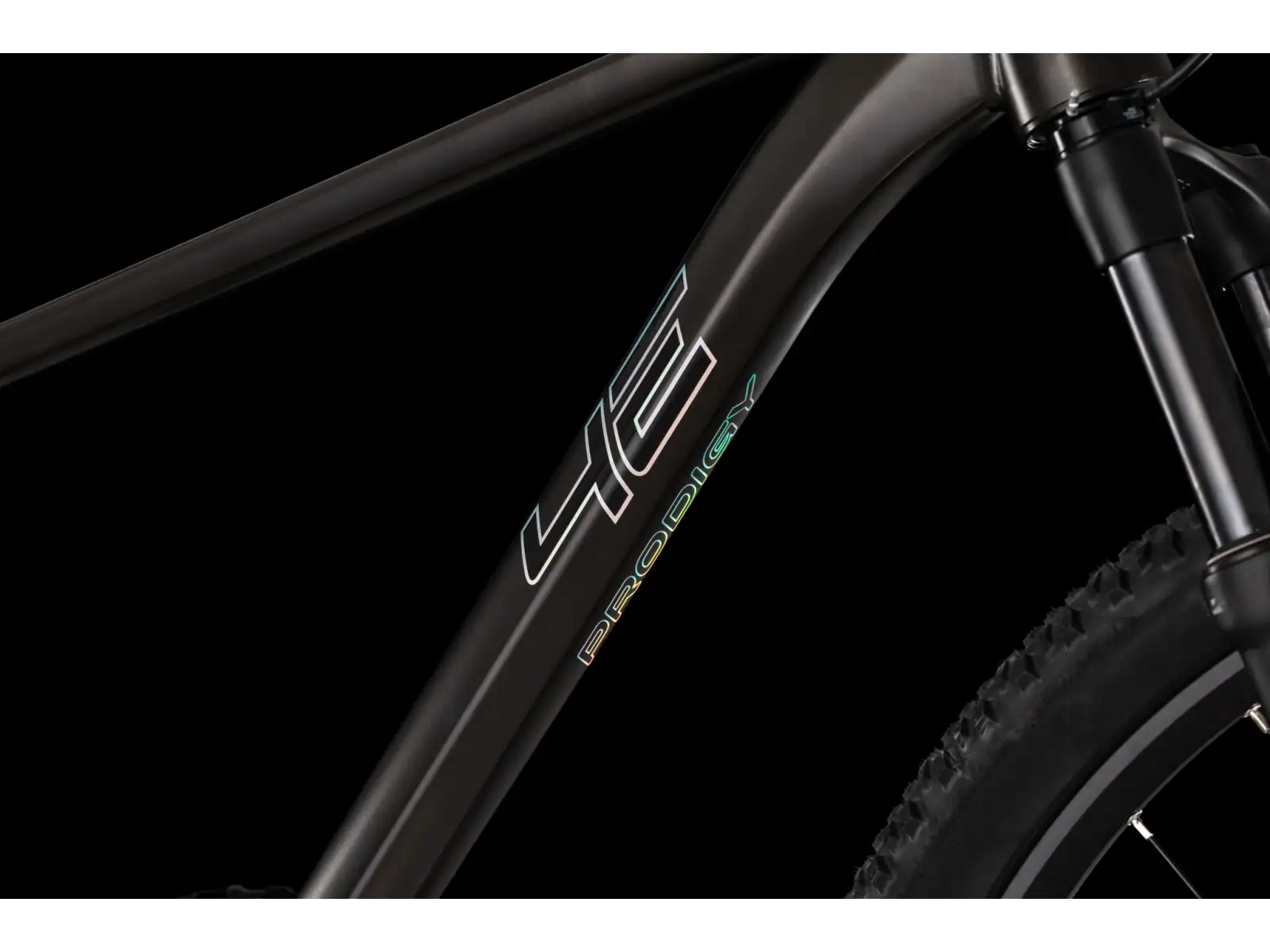4Ever Prodigy Race 29" rower górski Black/hologram