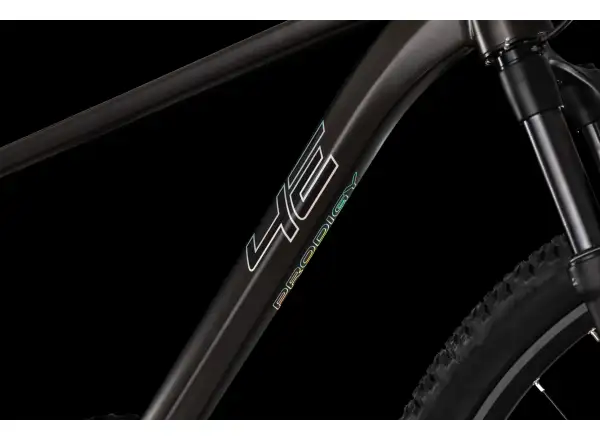 4Ever Prodigy Race 29" rower górski Black/hologram