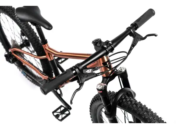 Rascal Wild 24 rower dziecięcy Bronze