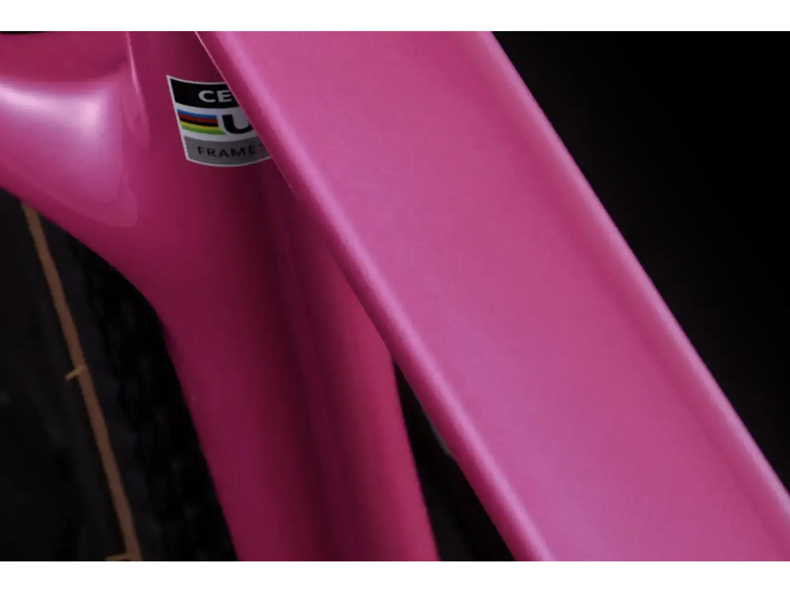Cervélo Aspero SRAM Force AXS 1 rower gravelowy Dusty Unicorn