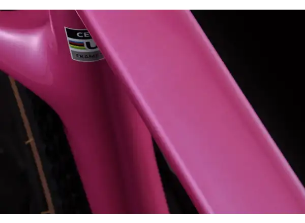 Cervélo Aspero SRAM Force AXS 1 rower gravelowy Dusty Unicorn