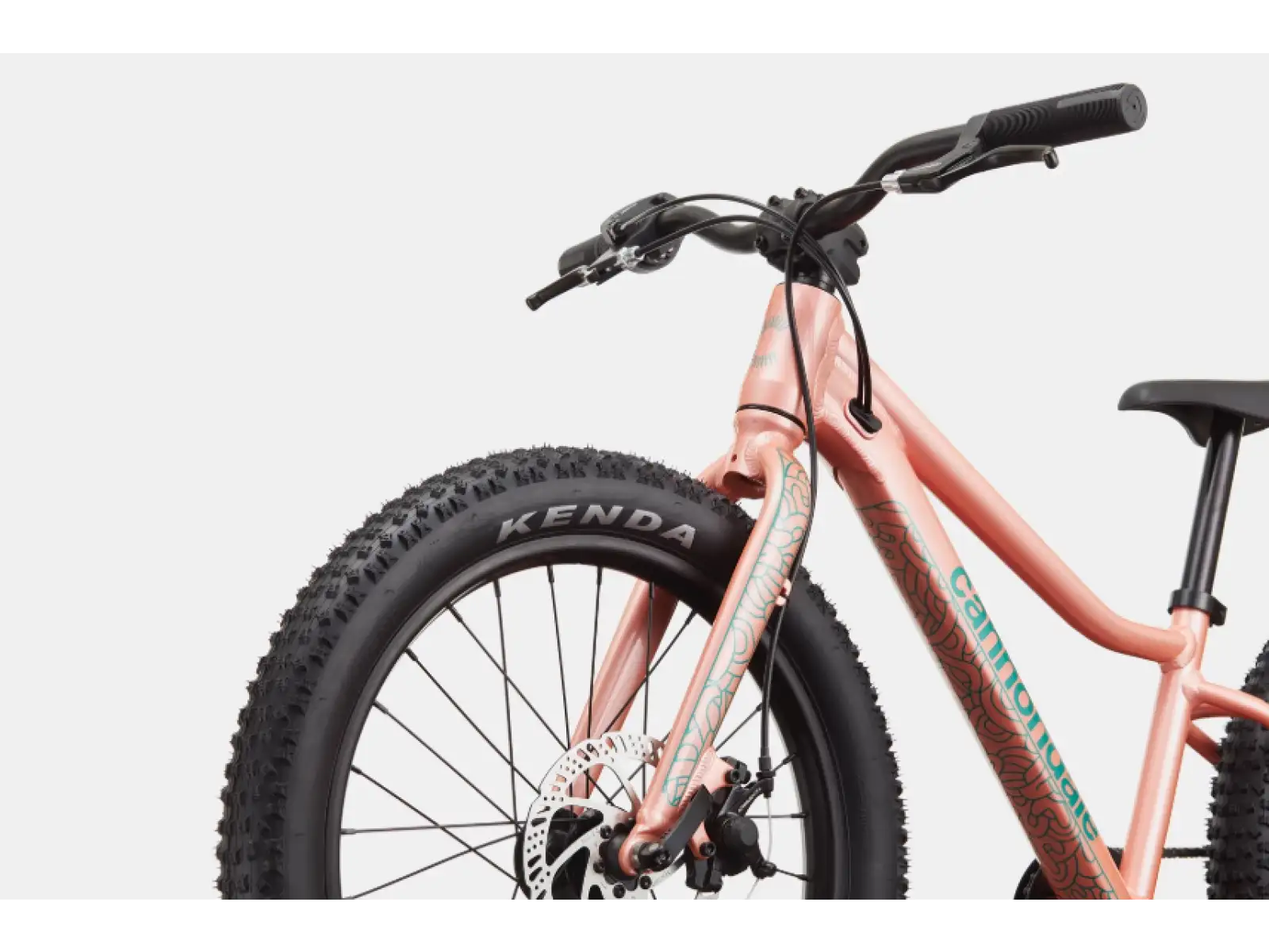 Cannondale Trail Plus 20 rower dziecięcy Salmon