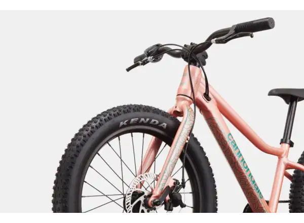 Cannondale Trail Plus 20 rower dziecięcy Salmon