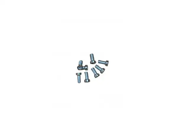 Leonardi Factory Kit Torx M4x10 śruby do tarczy napędowej