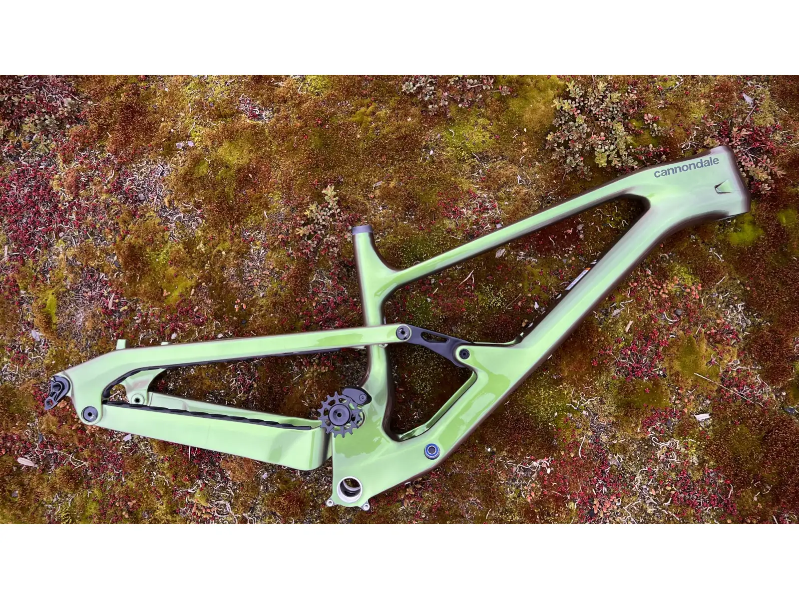 Cannondale Jekyll Frame Carbon MTB rama BGN