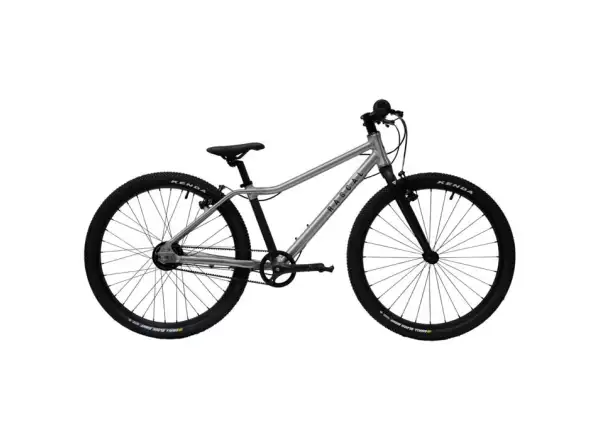 Rascal 24 3 sp. Shimano Nexus rower dziecięcy Titan