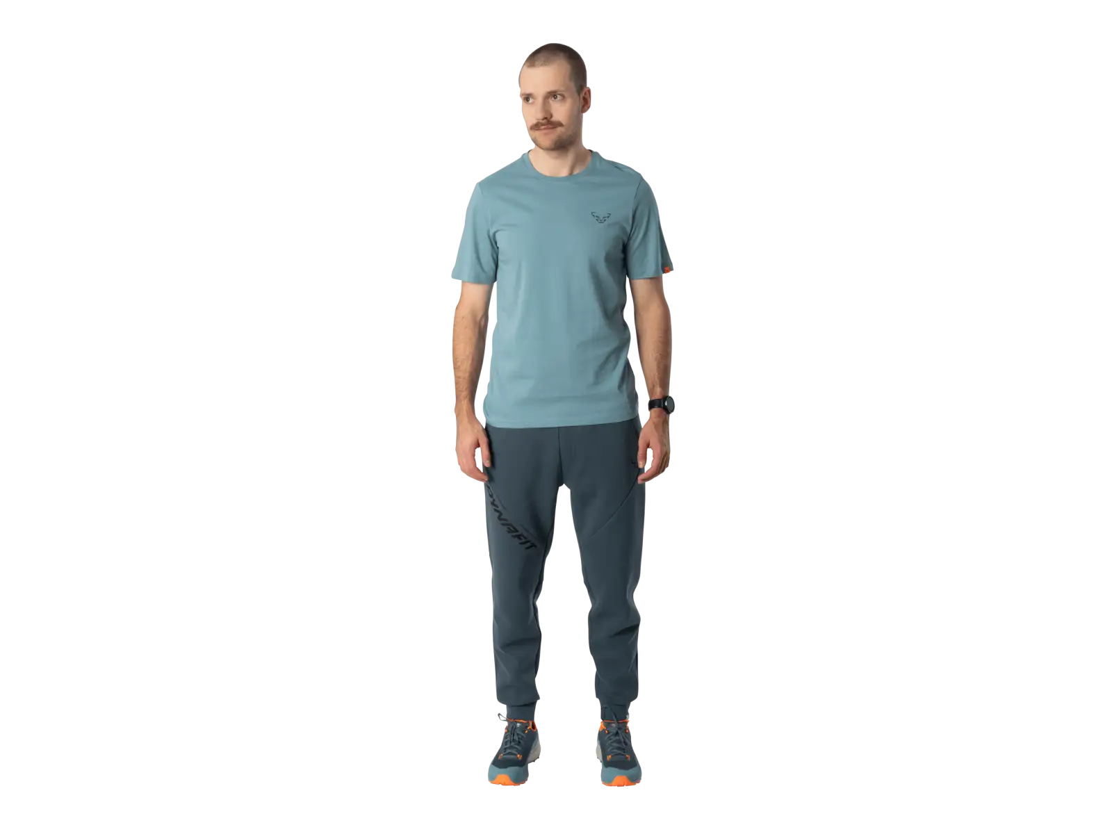 Dynafit Back Graphic Cotton męska koszulka z krótkim rękawem Smoke Blue/Approach
