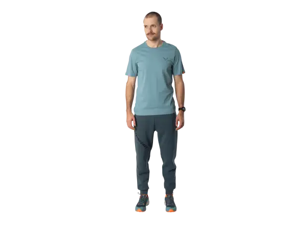 Dynafit Back Graphic Cotton męska koszulka z krótkim rękawem Smoke Blue/Approach