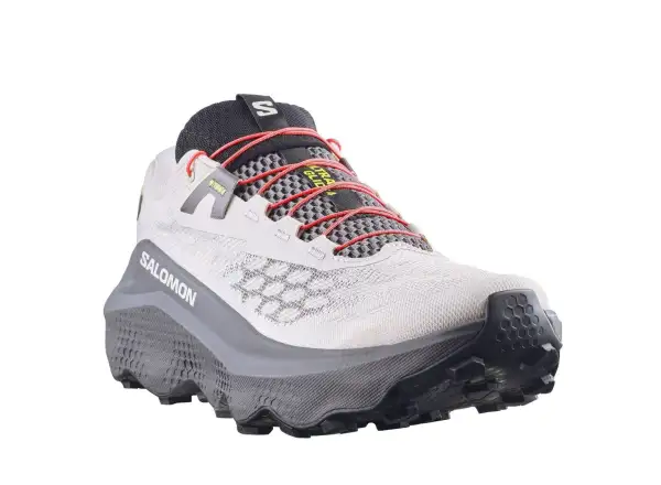 Salomon ULTRA GLIDE 4 męskie buty do biegania Shadow Gray / Tapioca / Black