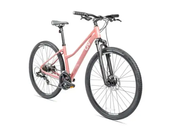 Liv Rove 4 DD rower trekkingowy terra roza