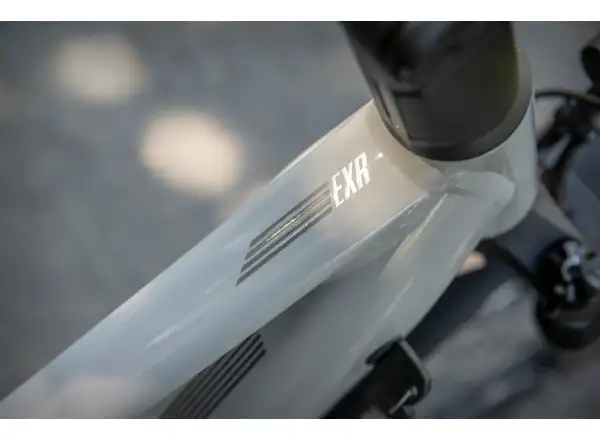 Superior eXR 6050 B Touring trekkingowy rower elektryczny Gloss Gray/Chrome Silver