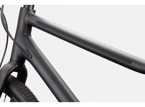Cannondale Treadwell 2 Ltd rower fitness Raw